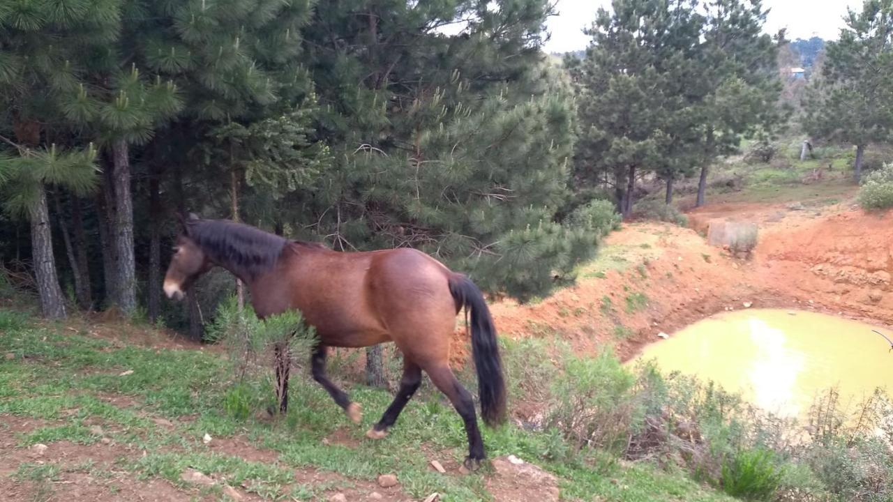 Estância Ouro Lages