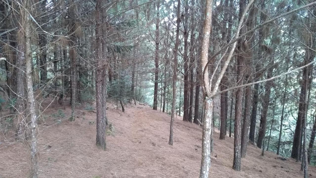 Estância Ouro Chalé *