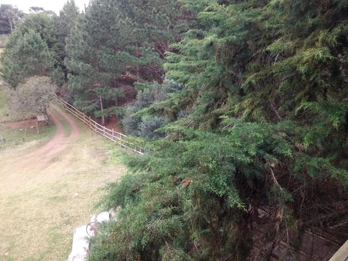 Chalet Chale Ouro