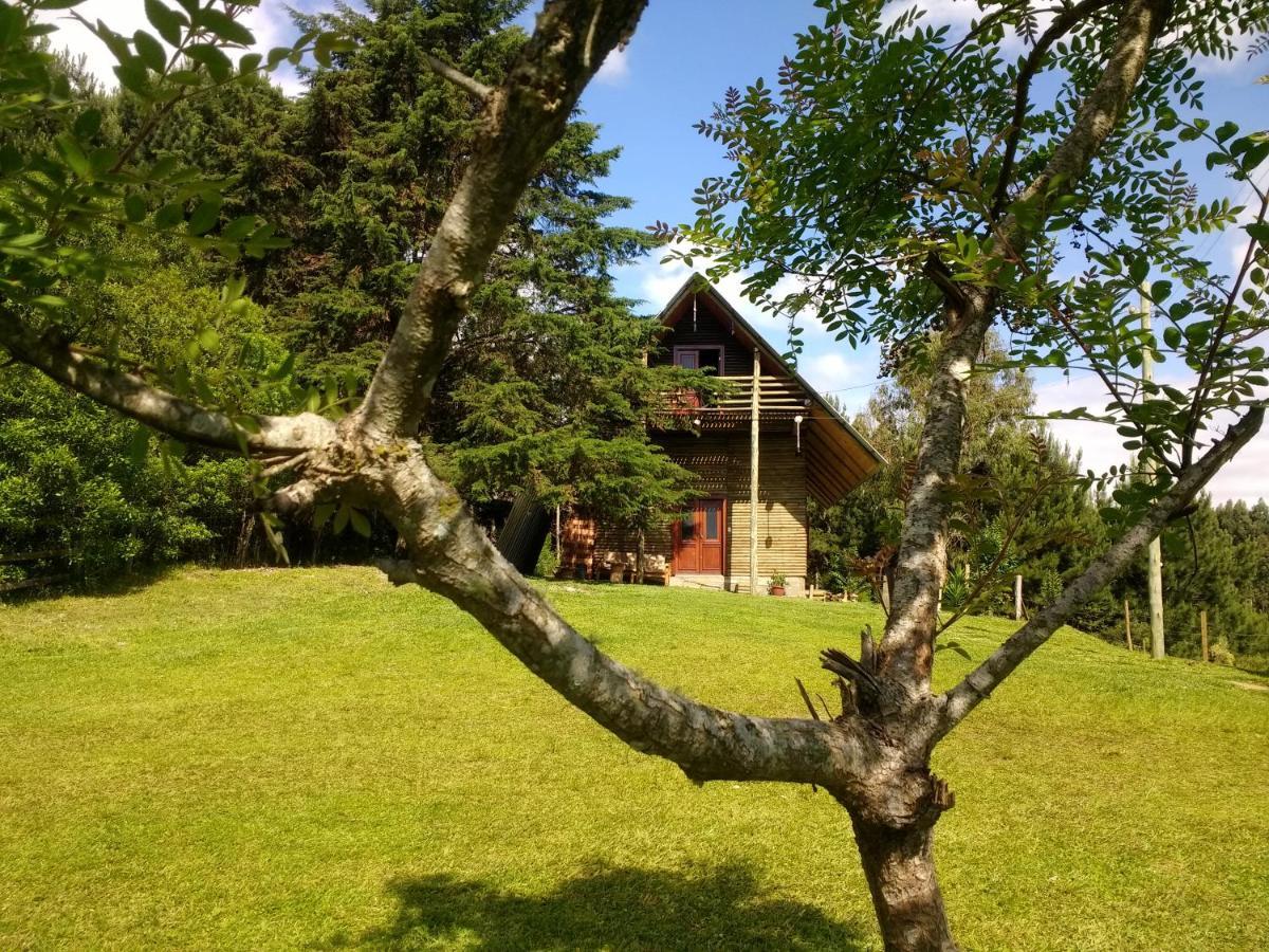 Chalet Chale Ouro