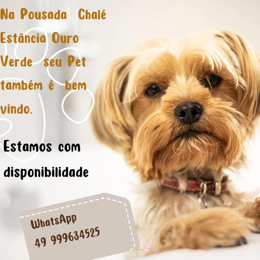 Chale Ouro * Lages
